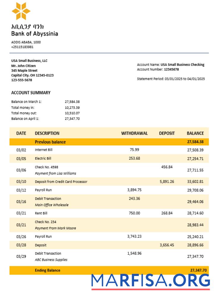 Blank Bank of Abyssinia business bank statement Word and PDF format example